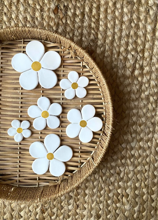 Lot Daisy
