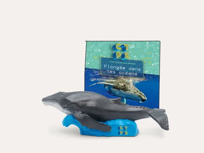 Plongée Dans Les Océans C'est Toujours Pas Sorcier