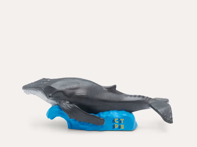 Plongée Dans Les Océans C'est Toujours Pas Sorcier