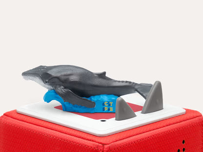 Plongée Dans Les Océans C'est Toujours Pas Sorcier