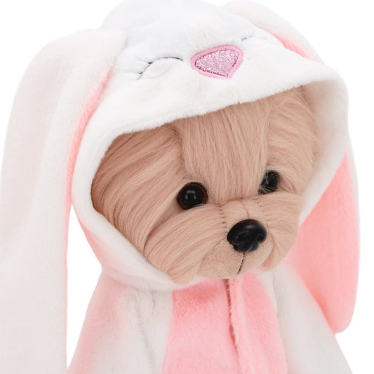 ensemble de vêtements: Bunny