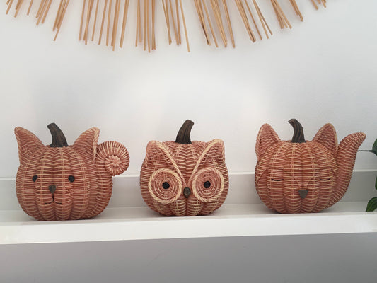 Citrouilles décoratives en rotin – Chat & Hibou