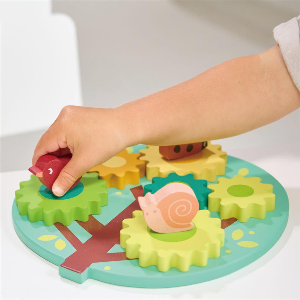 Arbre Avec Pignons Et Engrenages Amovibles