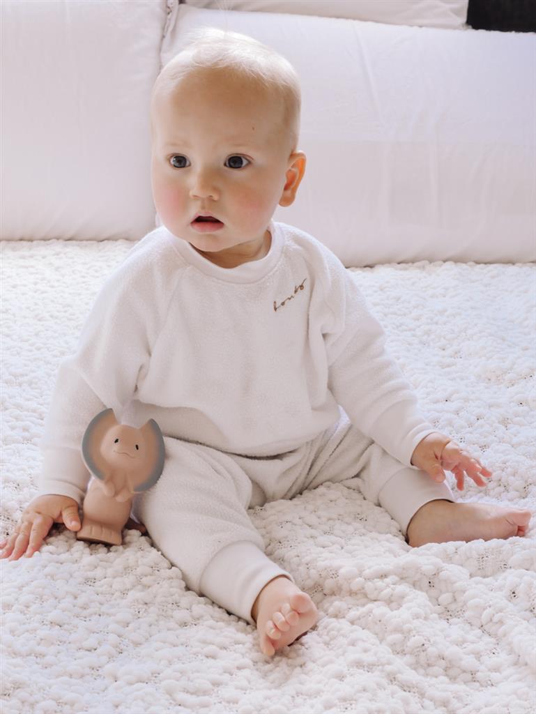 Mon Premier Dinosaure Dilo