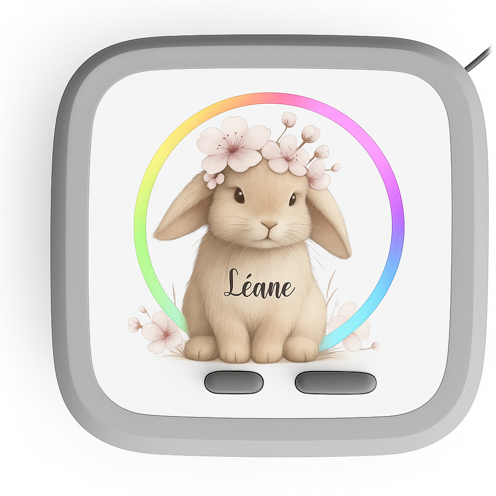 Film protecteur Toniebox