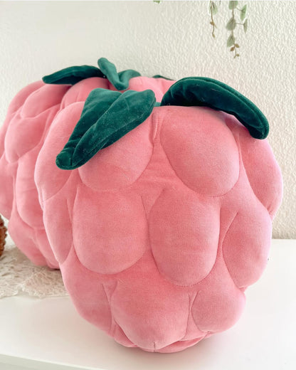 Coussin framboise