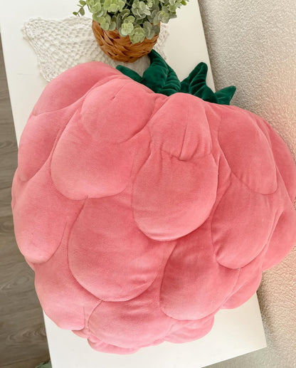 Coussin framboise