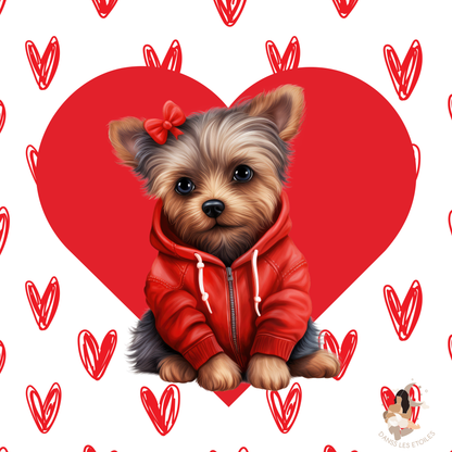 💗 Stickers Stony Box – Collection Saint-Valentin 💗