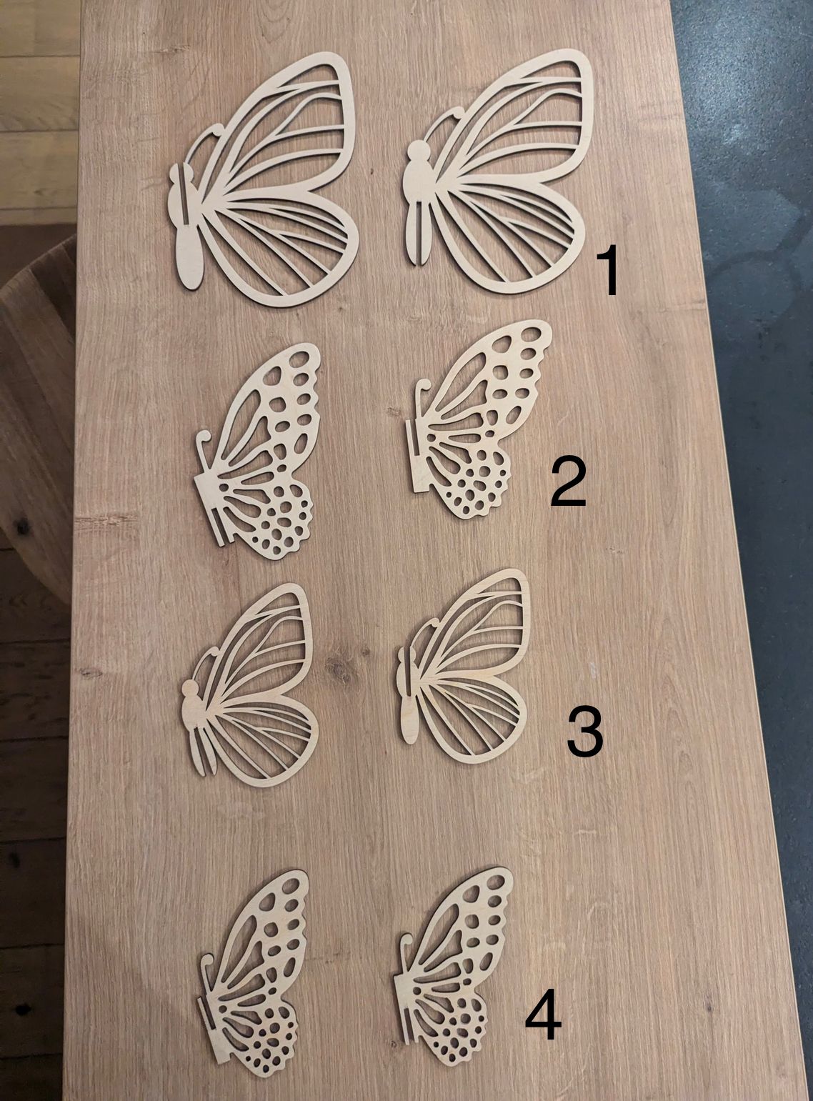 Papillon 3D