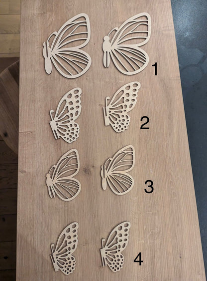 Papillon 3D