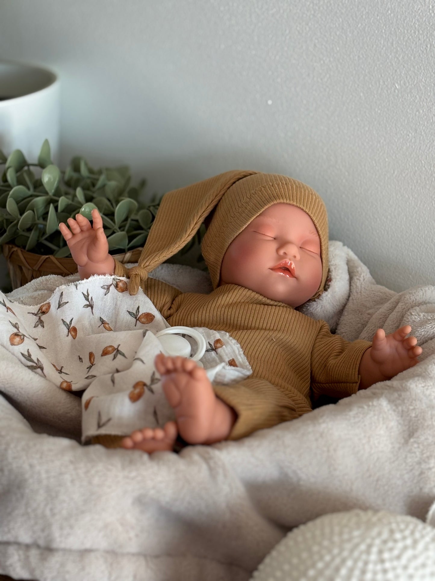 Poussin citron bonnet