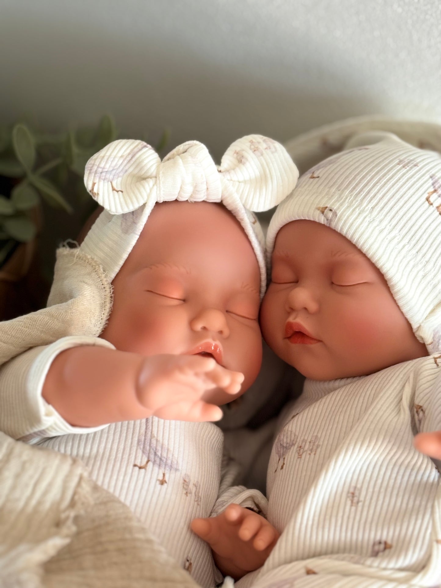 Poussin dormeur oies bonnet