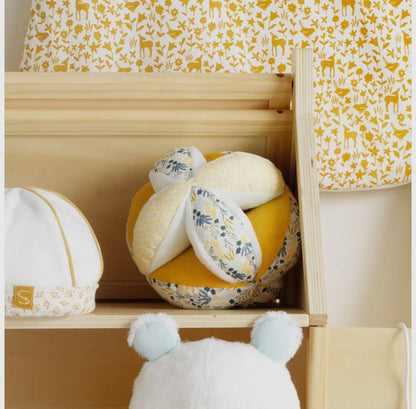 BALLE SENSORIELLE
PROMENONS NOUS