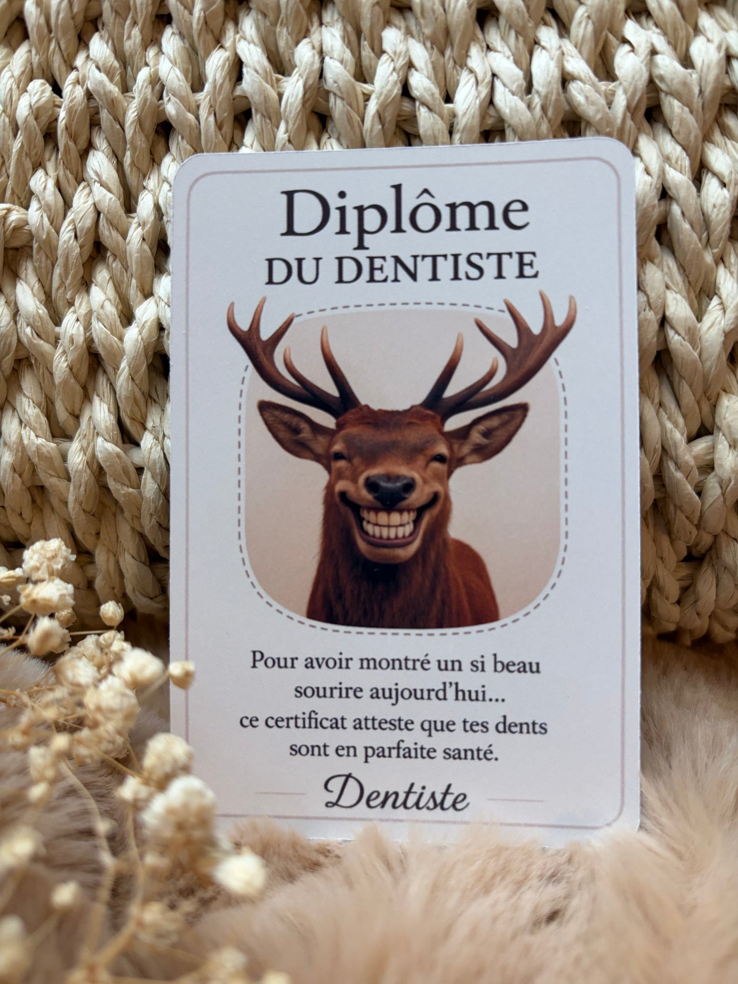 Diplômes Enfant – Collection Danss Les Étoiles ✨