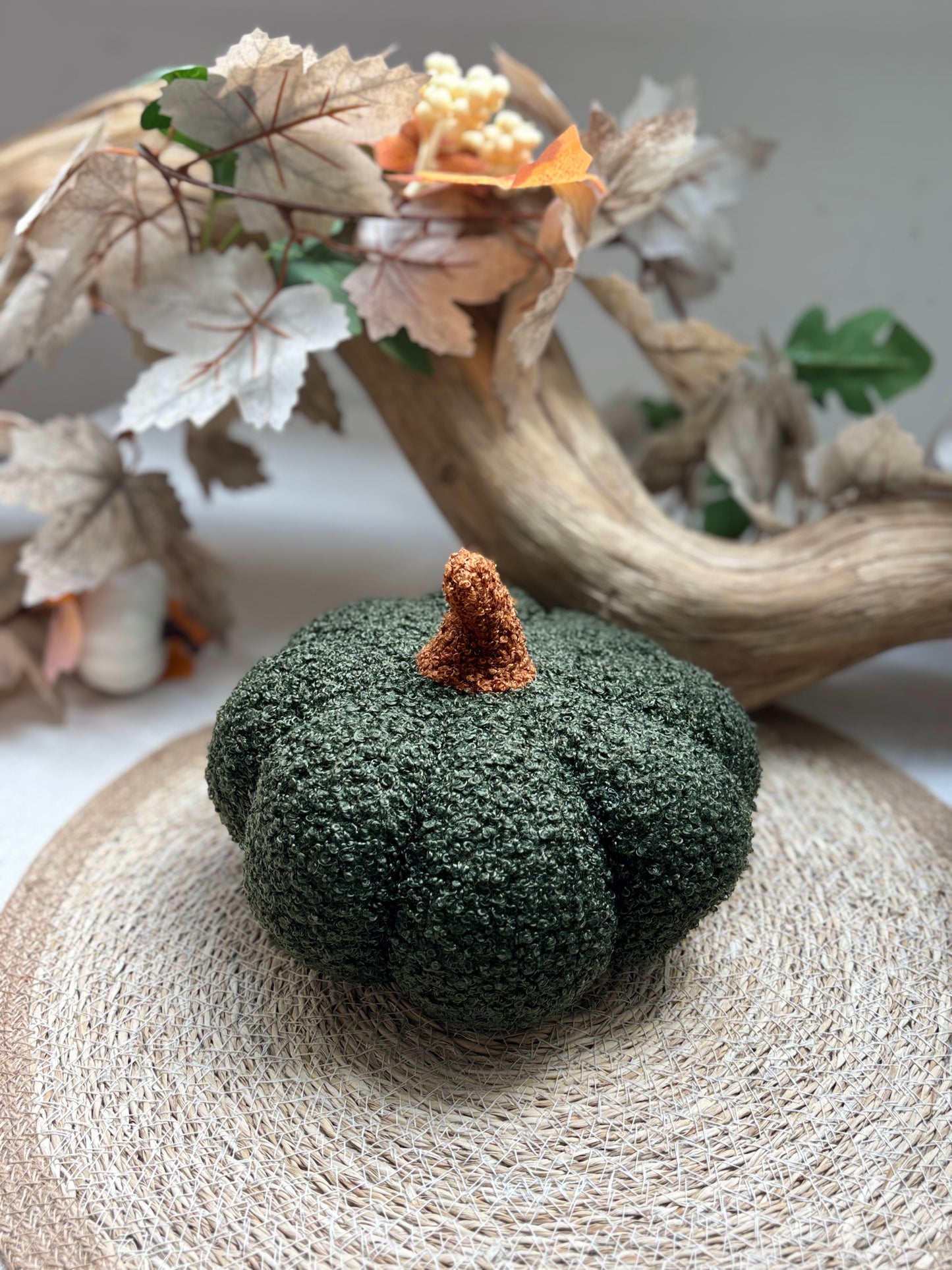 Citrouille verte 35 cm ✨