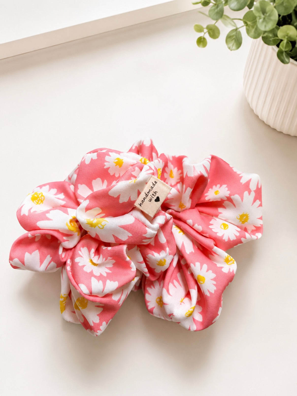 Chouchou Daisy rose