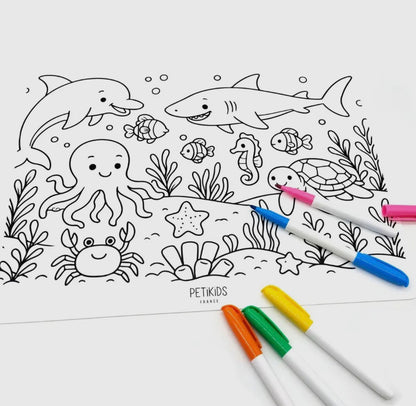 Set de Coloriéage Réutilisable – 2 Faces – Plusieurs Thèmes