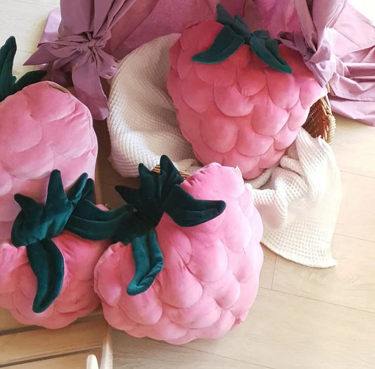 Coussin framboise