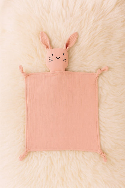 Sans titre 1déc._10:50