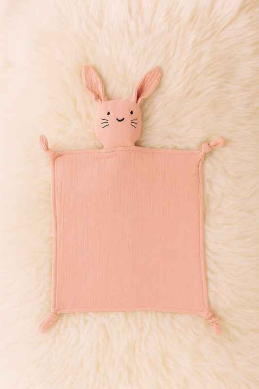 Sans titre 1déc._10:50