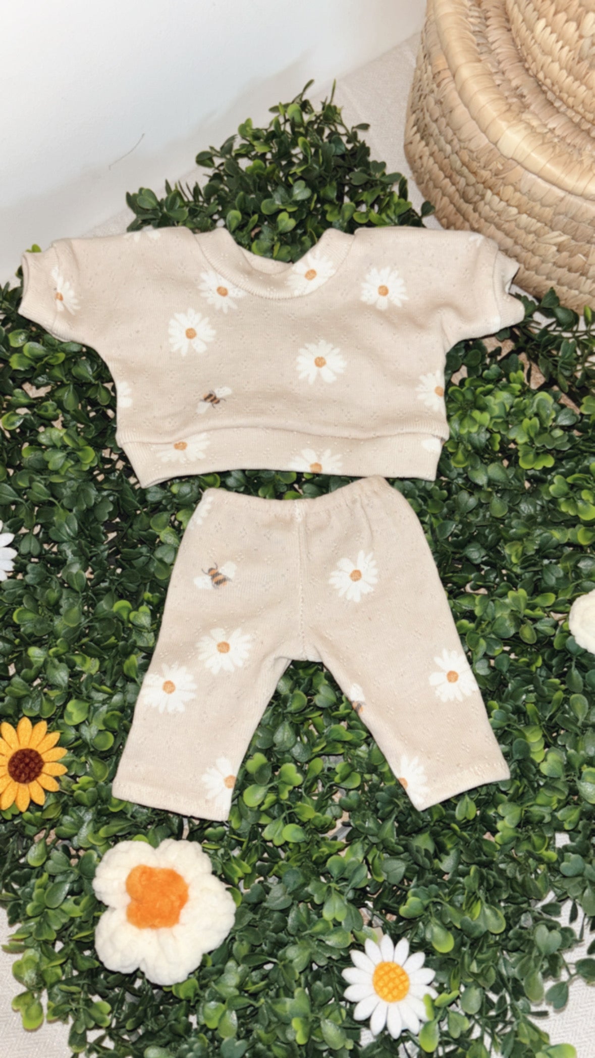 Ensemble Daisy