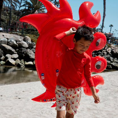 Matelas, d’eau crabe