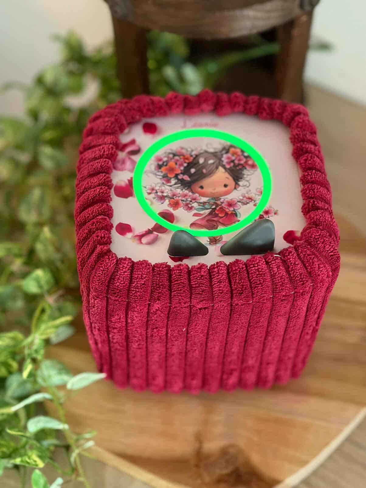 Housse tonibox 1 & 2 - velours grosse côte framboise